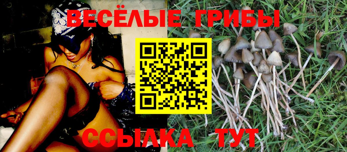Десногорск  Псилоцибиновые грибы MAGIC MUSHROOMS  Вход с VPN 
