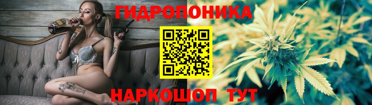 Марихуана White Widow  Марихуана сатива  Вход с VPN  Десногорск 